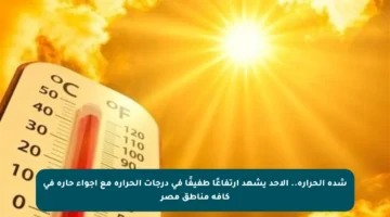 شدة الحرارة.. الأحد يشهد ارتفاعًا طفيفًا في درجات الحرارة مع أجواء حارة في كافة مناطق مصر